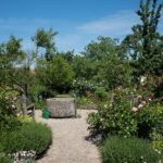 mcpaysages-creation-conception-jardin-exterieur-monte-carlo