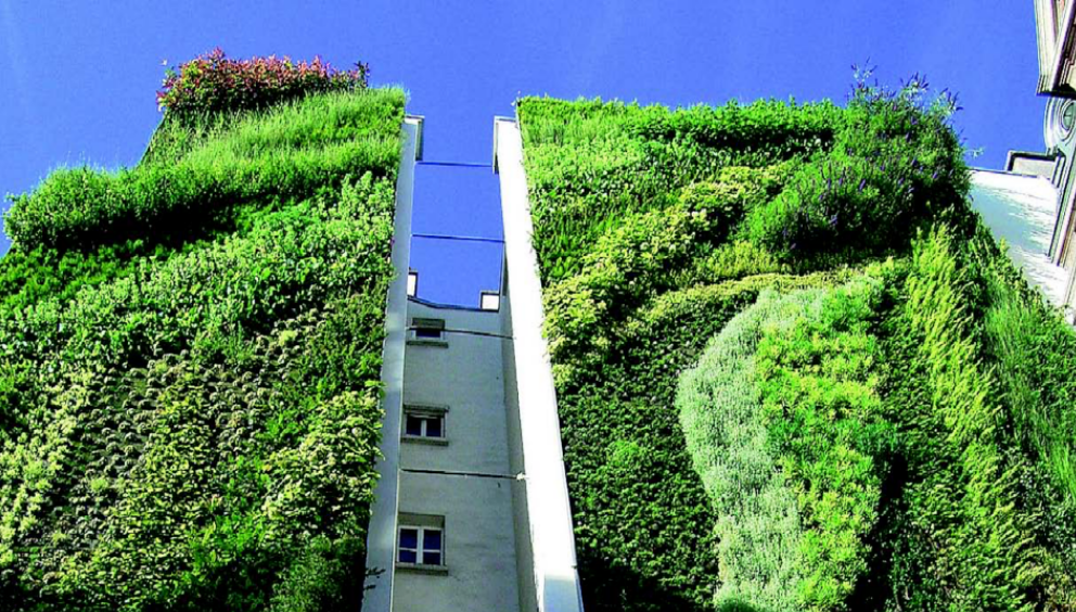 monte-carlo-paysages-mur-vegetal-residence-monte-carlo-france
