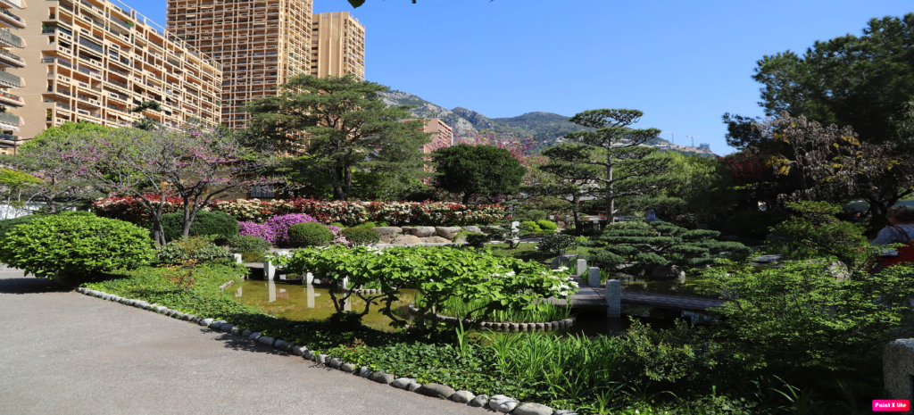 Monte Carlo Paysages entretien jardin
