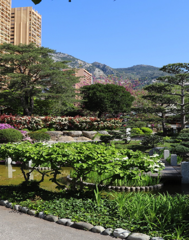 Monte Carlo Paysages entretien jardin